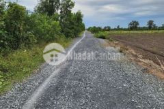 725tr1000m2 đất vườn đg ô tô đc xây nhà chính chủ