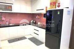 Ruby đa co sô căn 2pn 2wc 67m2 gia bao 102