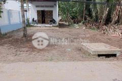 Cần bán đất tặng nhà cắp 4 xã tân mỹ chánh