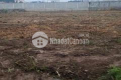 Bán đất 20x70 trung tâm chơn thành ngợp ngân hang