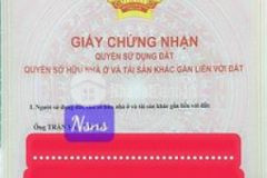Chung cư bông sao p5 quận 8 65m 2pn full nt