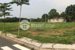 Nhà cần tiền cần bán gấp lô đất giá rẻ