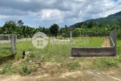 1000m2 đất có 400m2 đất ở ngay trung tâm huyện