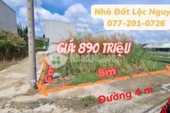 Đất thổ cư xây dựng tự do