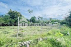 Chính chủ cần bán vườn nhà