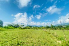 Bán gấp lô đất dt 1255m2 đằng sau trường mầm non vĩnh đồng giá cực rẻ