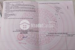 Đất gần cầu sập hl 25c xã tân thuận bình