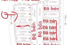 Đất nền tân hiệp phú giáo 1100m giá 1 2 tỷ