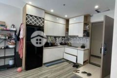 Chính chủ bán căn hộ t9 toà s2 02 vinhomes smart