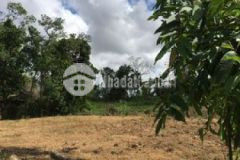 Điện bàn chỉ 4xxtr đường 4m