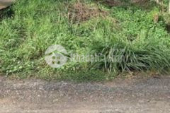 Đất hẻm quốc lộ 22 đường đá bi 5m giá 400tr100m2