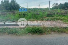 Hàng ngộp 101m2 kdc goldenland giá 8xx rẻ bao lời