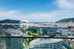 Bán căn hộ 5 the sóng giá hợp đồng