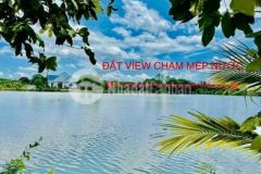 Đất huyện định quán 1 149m² giá chỉ 1 4 tỷ