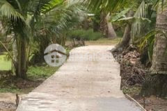 Đất vườn 1600m2 xã phước thạnh châu thành bến tre