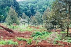 7 5 sào đất ngộp tại xuân đường cẩm mỹ đồng nai