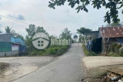 Bán đất tại xã phú quới huyện long hồ tp vĩnh long