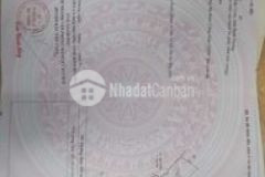 20x1102200m2 mặt tiền đường huỳnh văn lũy sổ đỏ