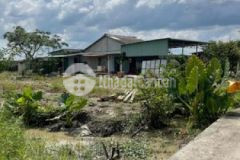 Cần bán 965m2 đất thổ phước tân hưng