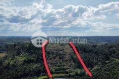 Chỉ 52 000m2 full ssoor khu dân cư nhà điện