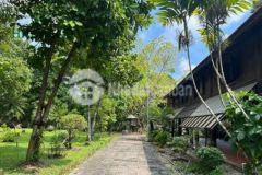 Bán 1 3ha đất tặng nhà sàn gỗ lâu năm củ chi