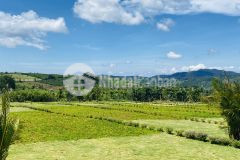 Đất nền bảo lộc 5trm2 cách cao tốc 3km