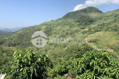 Siêu phẩm mộc châu đón sóng cao tốc, vị trí đẹp, giá đầu tư