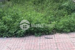 Bán đất sổ hồng 88,8m2 thôn đông tiến,đông xá,vân đồn,quảng ninh