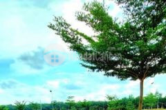 Cần bán gấp lô đất ngay chợ chánh lưu