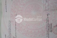 Kẹt tiền cần bán đất lộc hưng