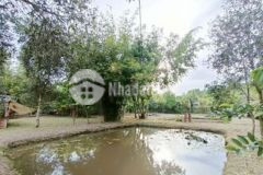 Bán nhà vườn gầb ub bình mỹ dt 1860m2 38m x 45m