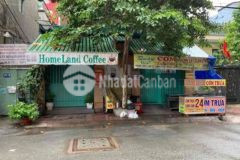 Nhà biệt thự trung tâm tphcm cần bán gấp