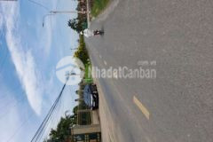 239m2 đất thổ mt kinh doanh chợ tân trụ 2 4 tỷ