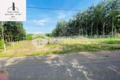 Chủ ngợp bank hạ giá bán gấp 1 600m2 giá chỉ 2tỷ4