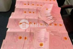 Siêu phẩm đầu tư không thể bỏ lỡ cuối năm