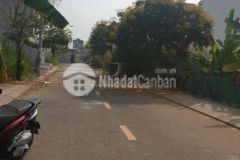 Dự án tín hưng đường số 1 long trường tp thủ đức