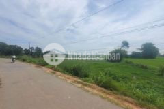 460 triệu có ngay 250m2 thổ sổ sẵn đón tết an vui