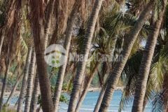 Ninh hòa đất nền an toàn biển dốc lết mặt tiền dt7