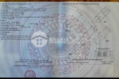 Bán nhà chính chủ đường phạm văn chiêu f9 gò vấp