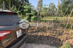 Cân ban gâp lô đât re như cho