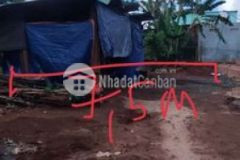 Định để làm nhà cho con trai cần tiền nên bán