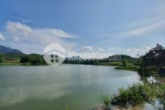 Cần bán 9940m400m thổ cư bám hồ tay chạm nước