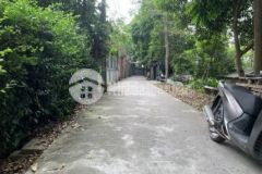 Bìa làng mai châu đường thông oto gần kcn btl 300m