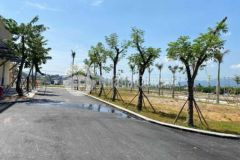 Bán đất khu phố chợ đông phú giá rẻ chiết khấu 5