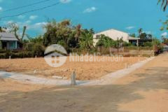 Lô góc điện tiến sụp hầm cho nhà đầu tư view lúa