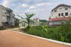 Đất đa tốn gia lâm hn đường trải nhựa chỉ 1 65ty