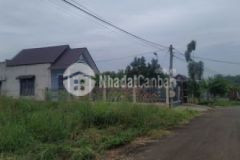 Đất sào đất dầu giây liền kề kcn bán giá rẻ