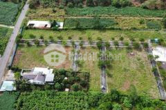 Đất hưng lộc đt769 100m2 thổ cư sổ sẵn gần kcn