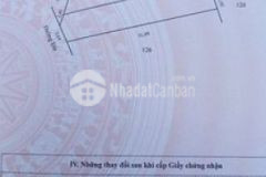 183 mv tân phú đông sa đéc chỉ 350tr