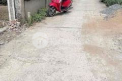 250m2 thổ tại thạnh đức bến lức ô tô đậu ngay đât